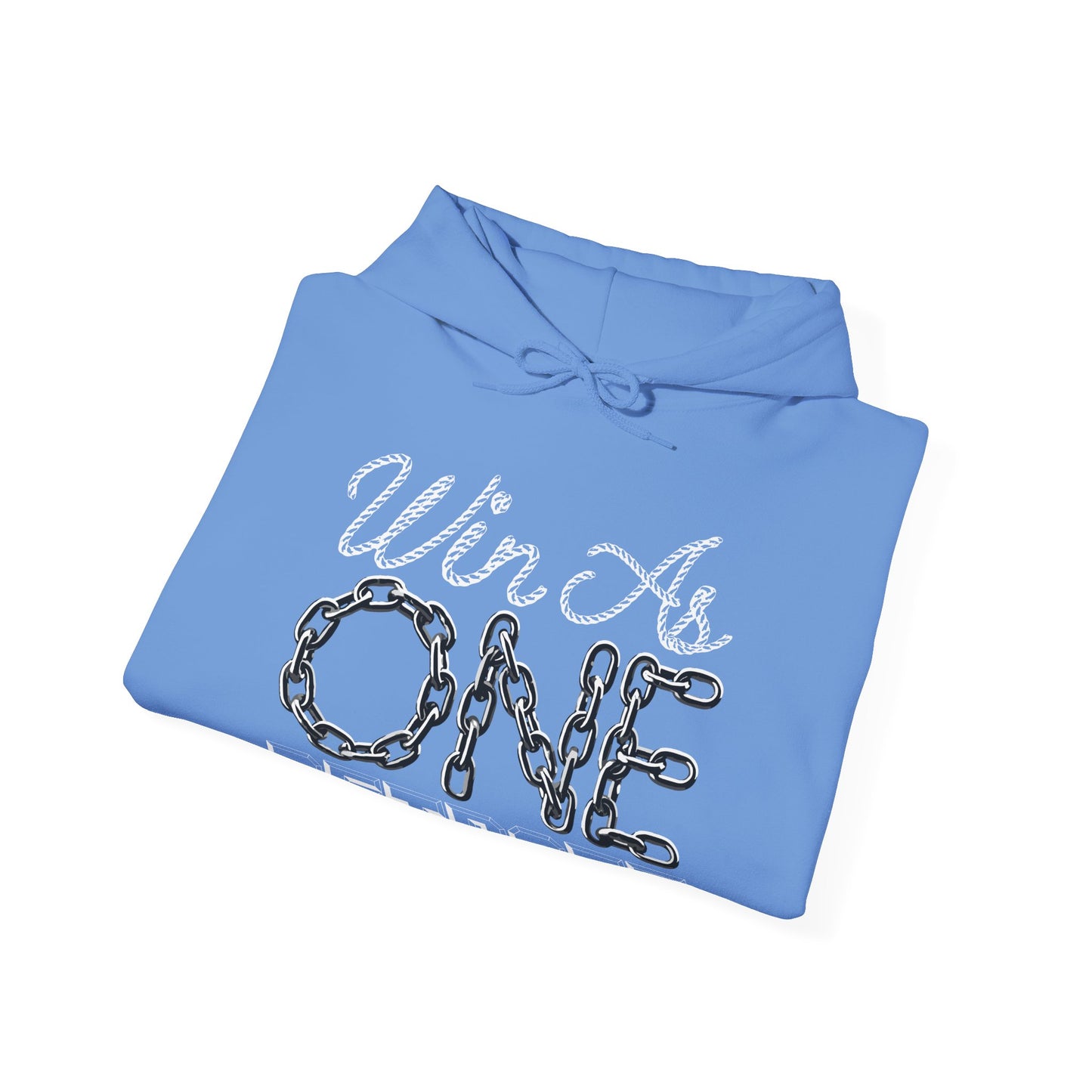 LIONS ADDITION WAO Hoodie