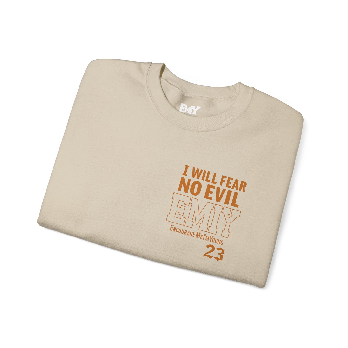 Bible Verse Sweatshirt - Psalms 23 Fear No Evil