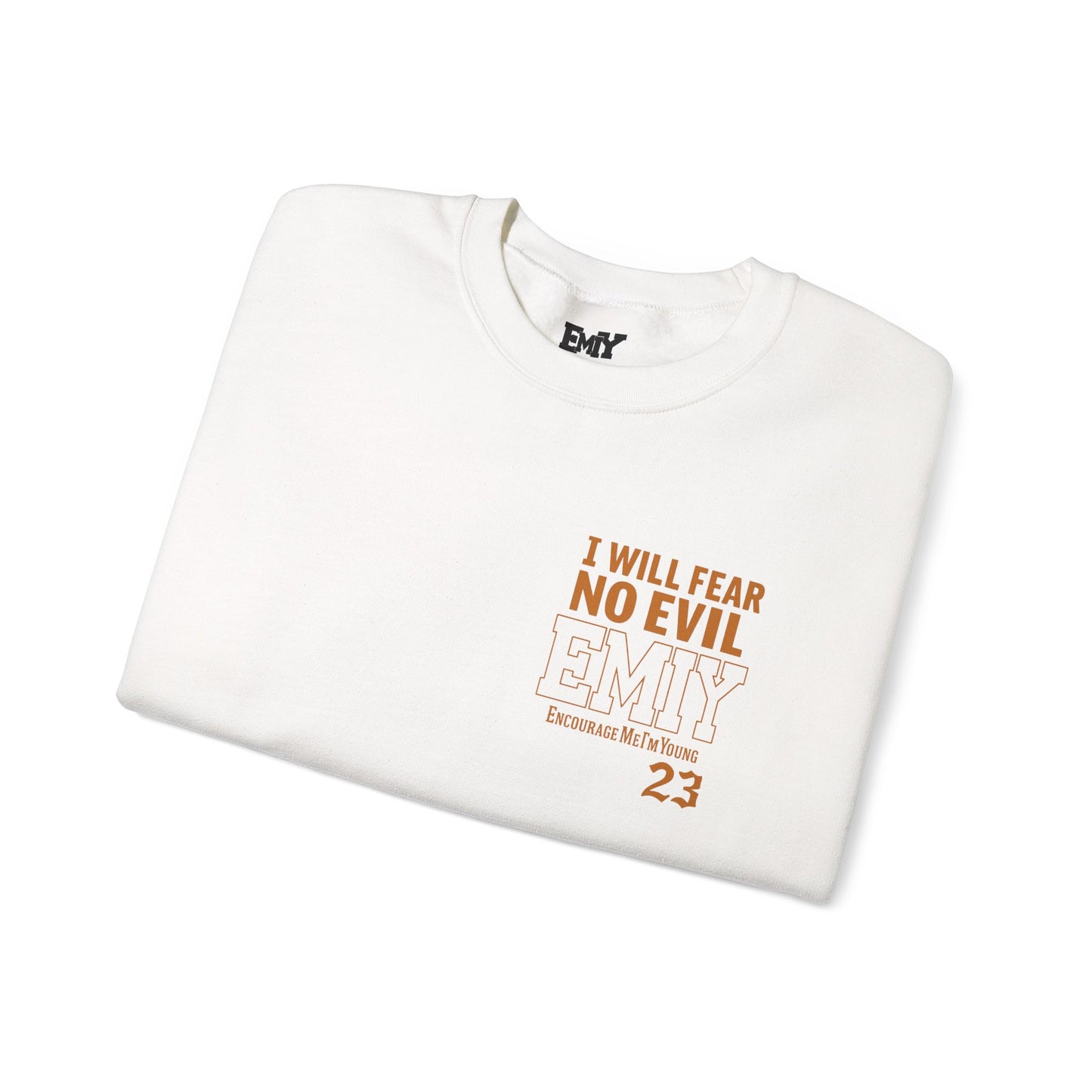 Bible Verse Sweatshirt - Psalms 23 Fear No Evil