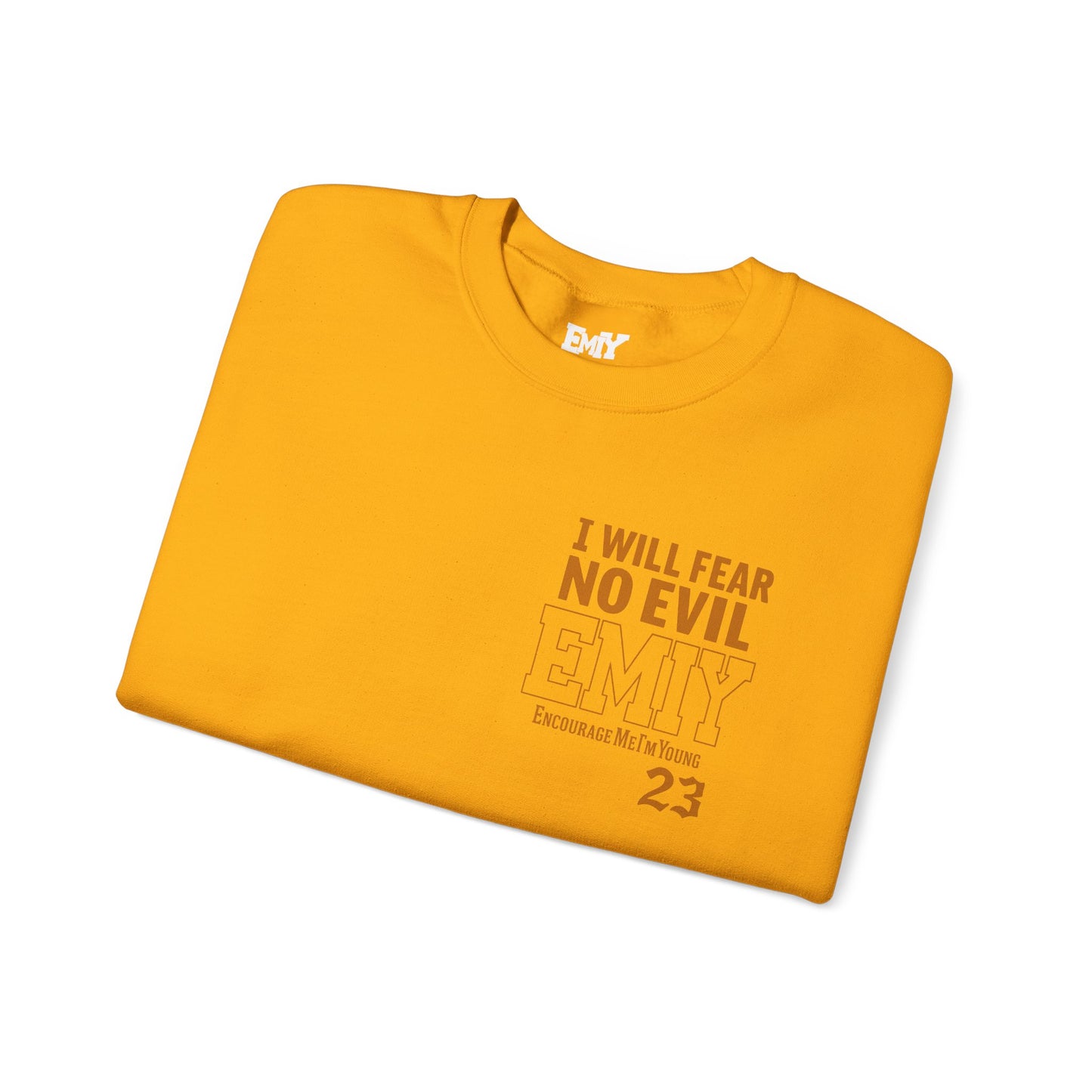 Bible Verse Sweatshirt - Psalms 23 Fear No Evil