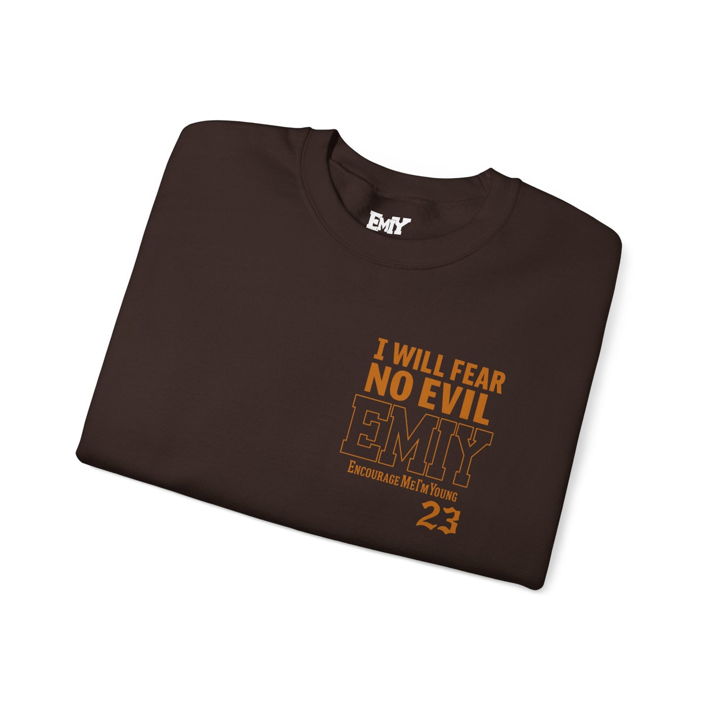 Bible Verse Sweatshirt - Psalms 23 Fear No Evil