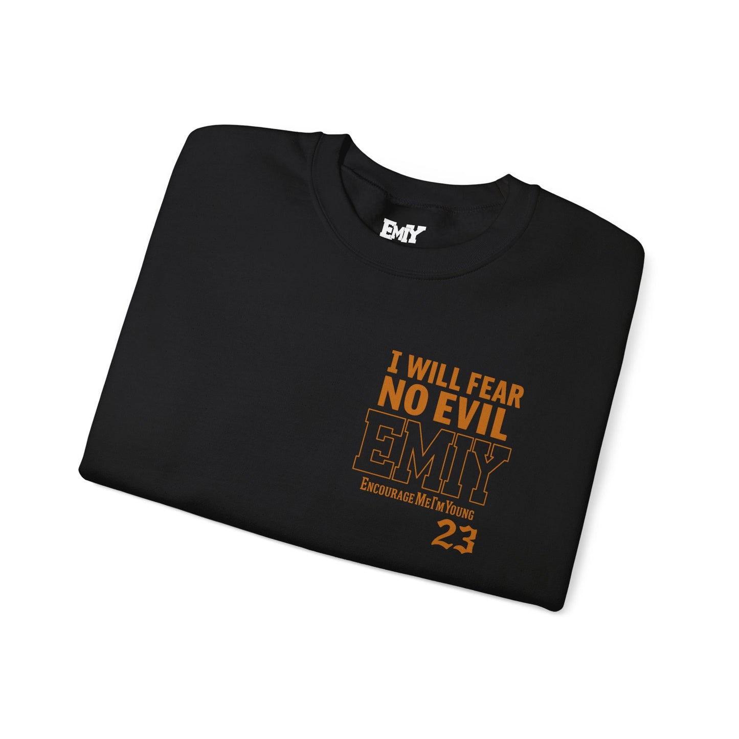 Bible Verse Sweatshirt - Psalms 23 Fear No Evil