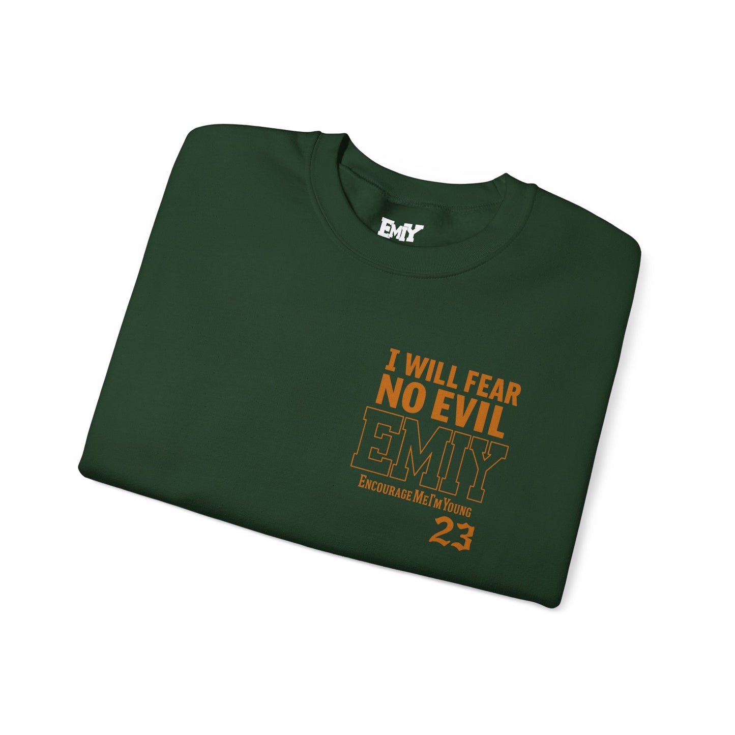 Bible Verse Sweatshirt - Psalms 23 Fear No Evil